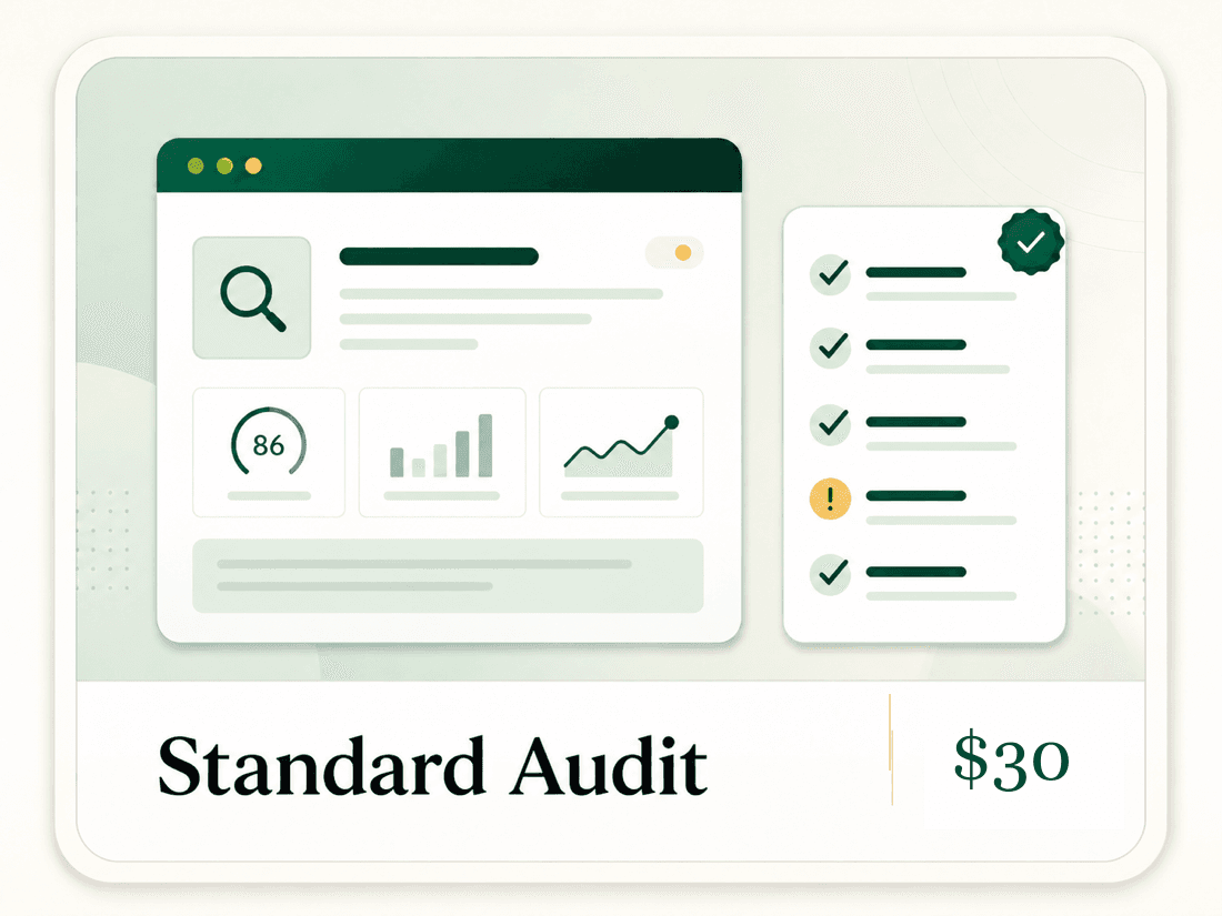Standard audit report preview with prioritized public-site findings.